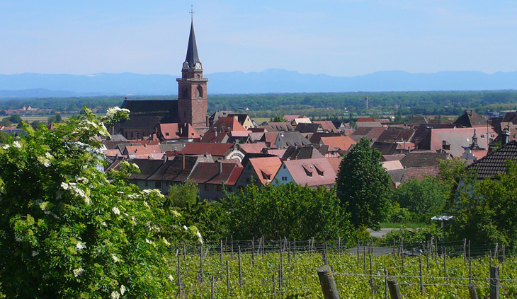 bergheim-p1180454 recadre 730x423